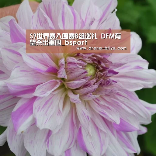 S9世界赛入围赛B组巡礼 DFM有望杀出重围_bsport(图2) b sports官网